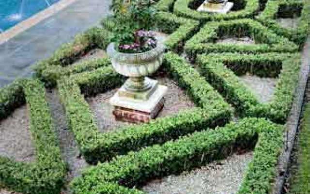 Houston landscapers