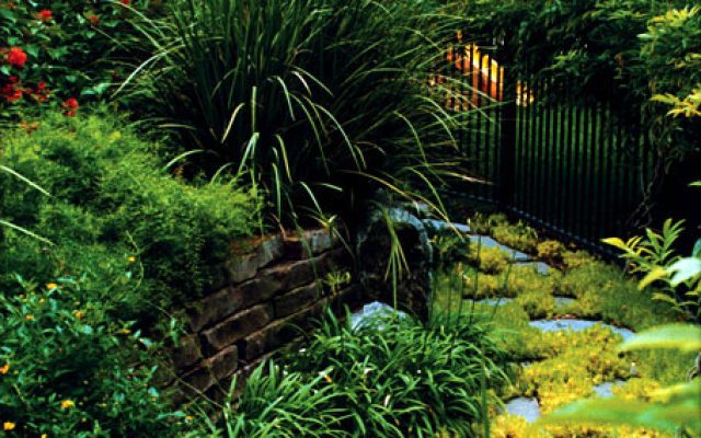 Landscaping A Hill