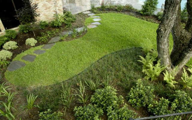 Lawn Care Tips