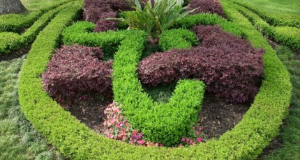 Knot Gardens for Houston Townhomes