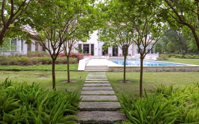 Shade Gardens Need Constant Tree Pruning