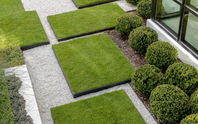 How Exterior Worlds Updates Houston Landscape Elements