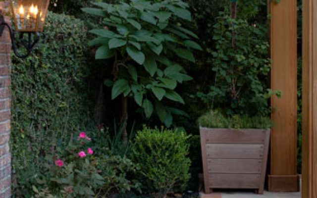 Minimal Garden