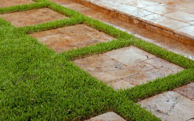 Landscape Management