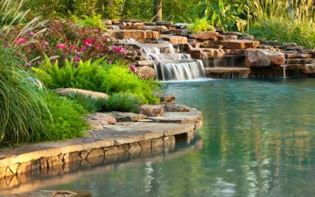 Moss Landscaping and Stepping Stones