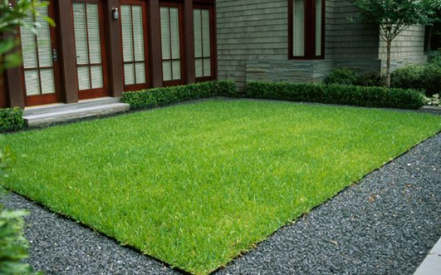 Commercial Landscape Maintenance