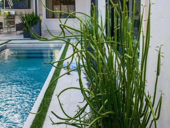 afton-oaks-modern-swimming-pool-and-landscape-design-08