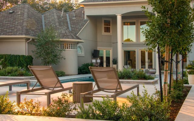 Backyard Landscaping