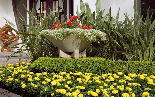 Do-it-yourself landscaping