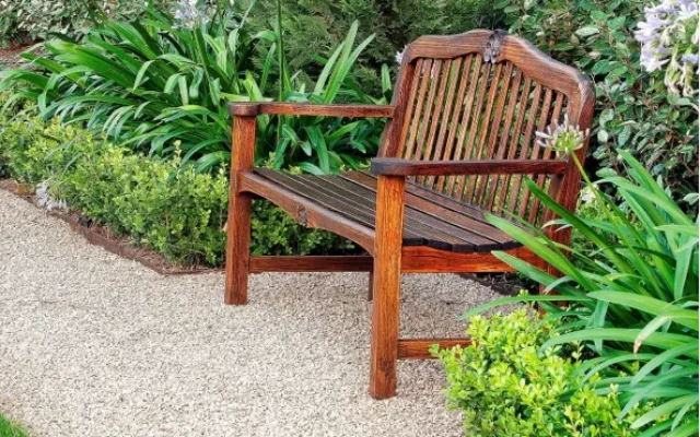 Bush Planting in your Landscape Design