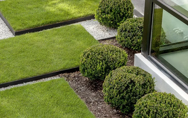 Landscape Contractors in Houston Texas