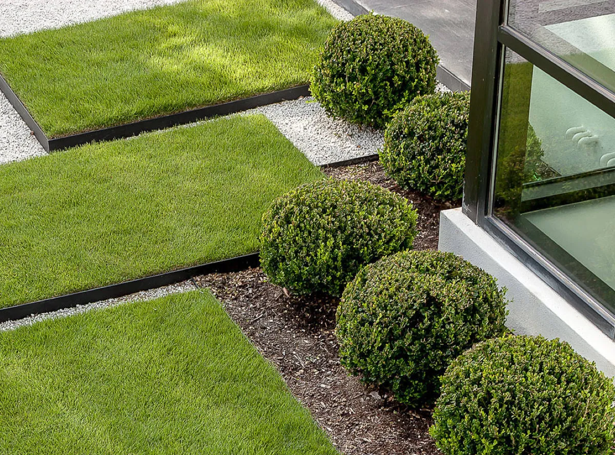 Landscape Construction in Houston