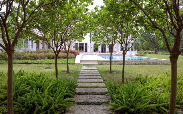 Modern Outdoor Garden