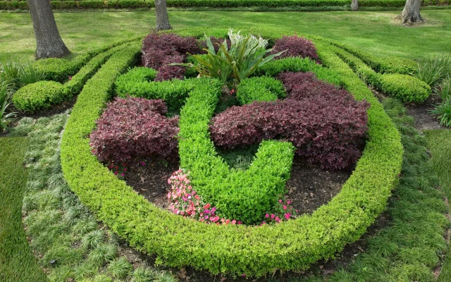 Tips on Drought Resistant Flowers