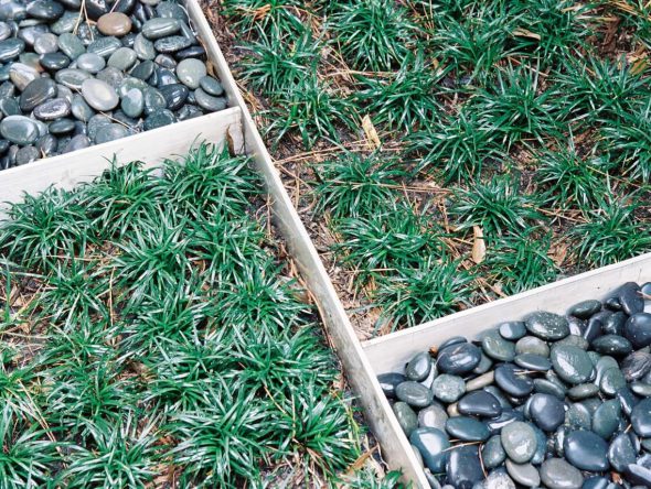 mid-century-modern-landscaping-04