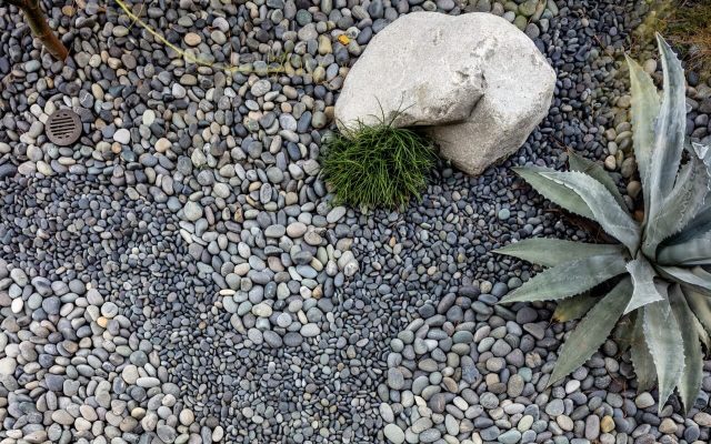 Rock Gardens