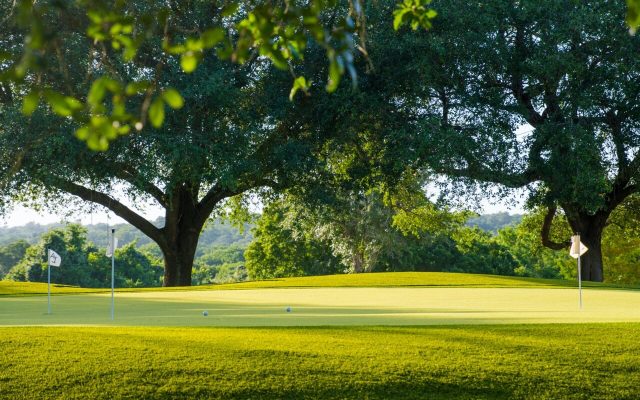 Houston Tree Planting