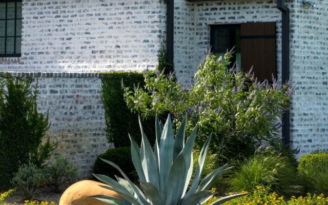 Stucco Walls