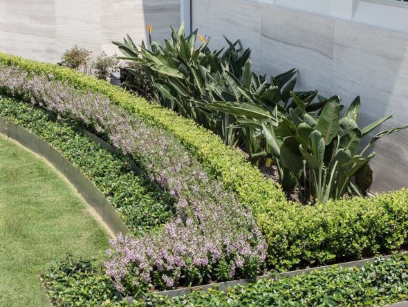 sugar-land-modern-01