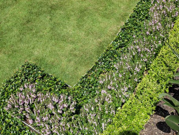 sugar-land-modern-013