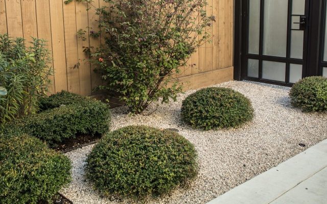 Garden Care